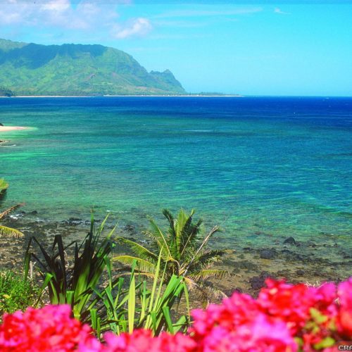 The Hawaiian Islands are renowned for their breathtaking beauty